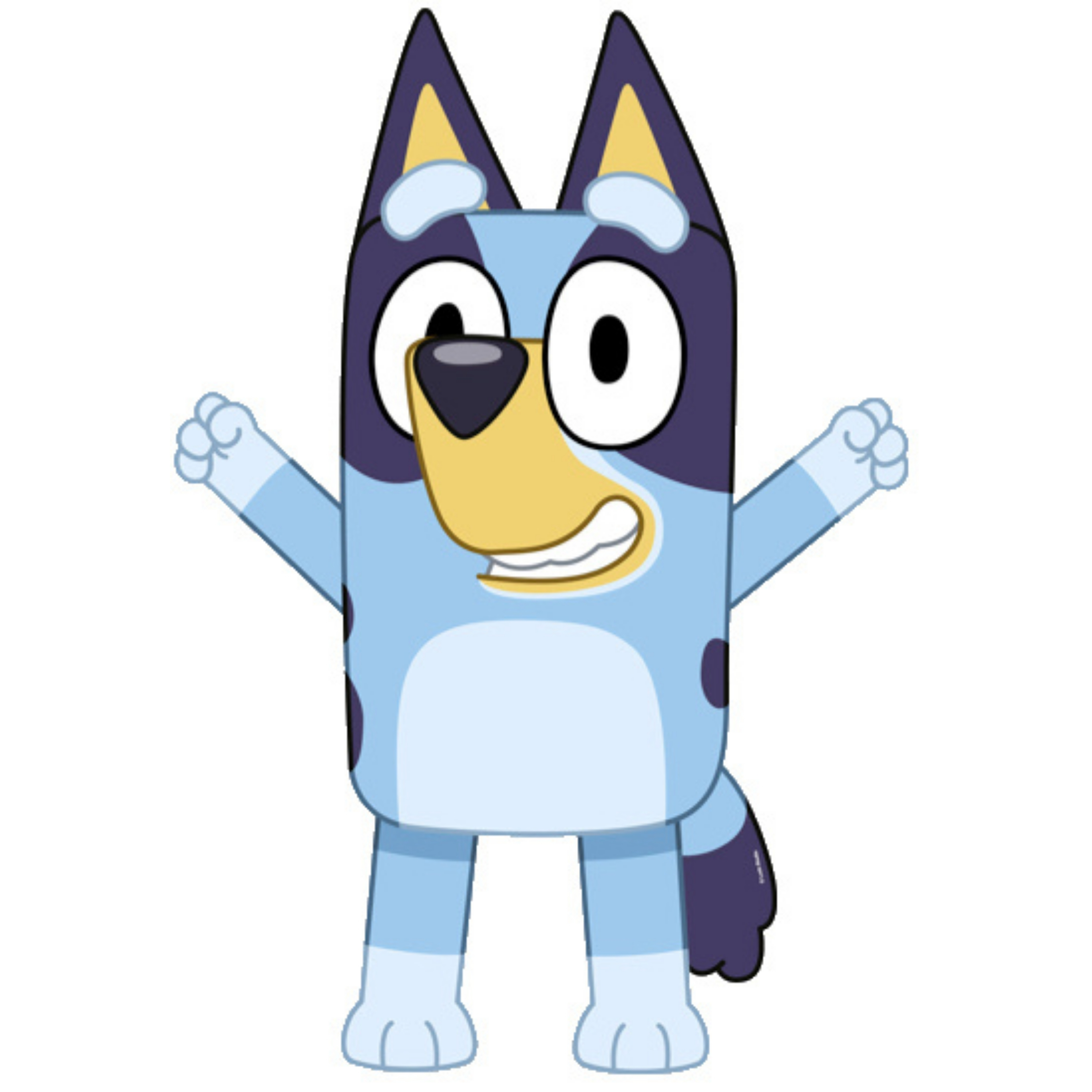 Kit Bluey